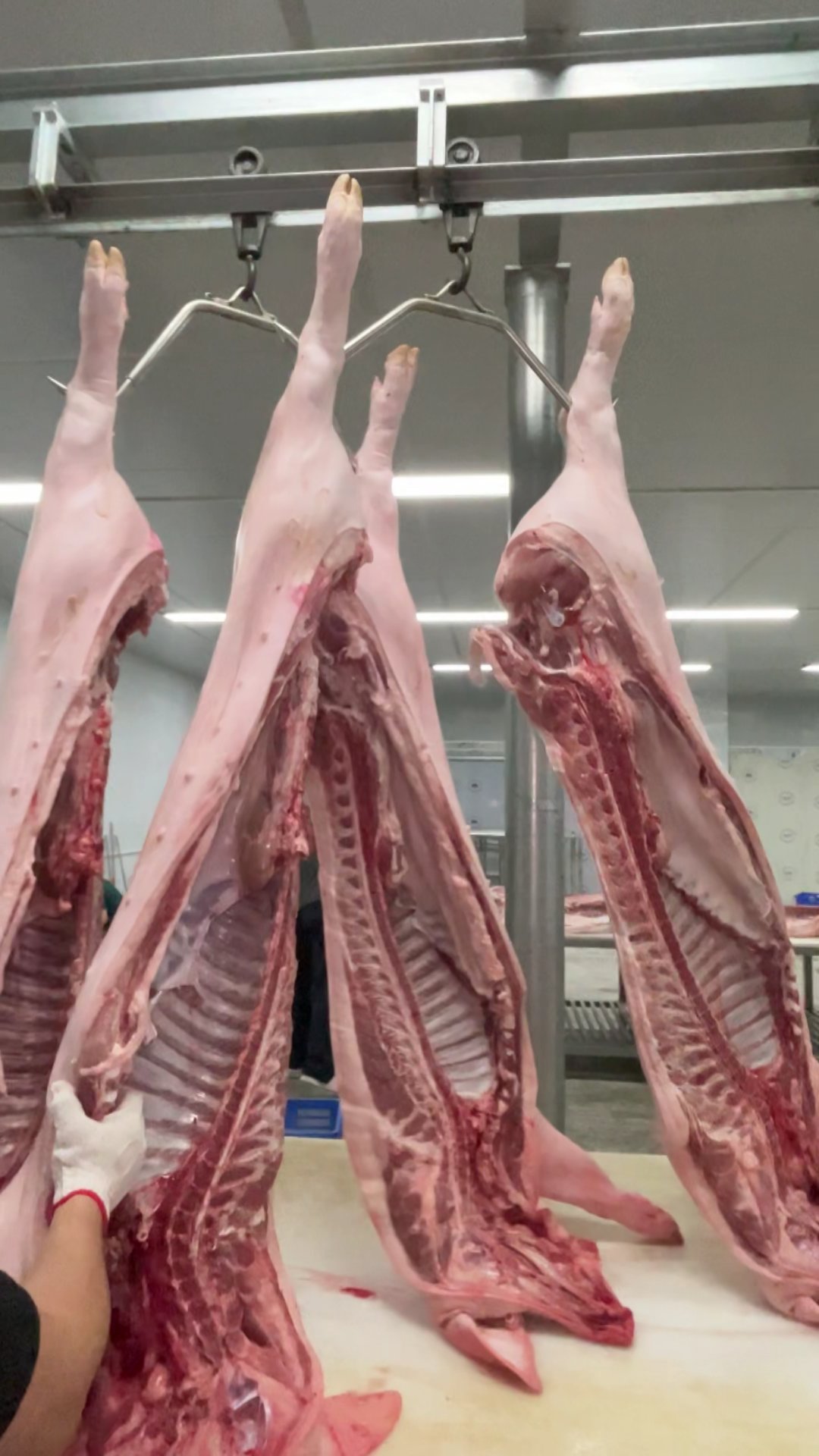 菜多多实拍鲜肉图 (1)